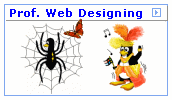 inexpensive web designing yet professional web designing with DHTML javascript flash animation