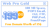 100 mb professional web hosting free pop3 email cgi ftp mysql php frontpage free domain registration