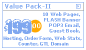 10 page professional web designing free pop3 email guest book free domain registration e commerce order form web stats counter flash animated banner